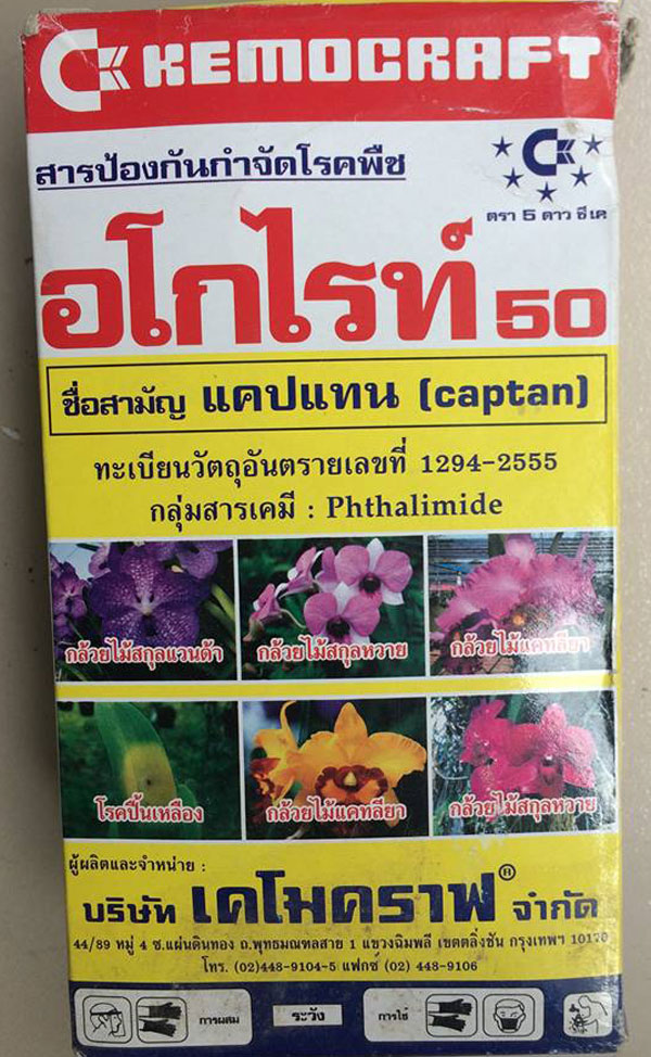 thuốc chống thối hàng thái 1 thuốc chống thối hàng thái 1